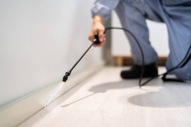 Licensed Pest Control service in Pawtucket, RI - Show Me Pest Control