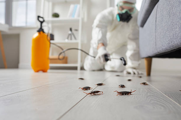 Commercial Kitchen Cockroach Control in Pawtucket